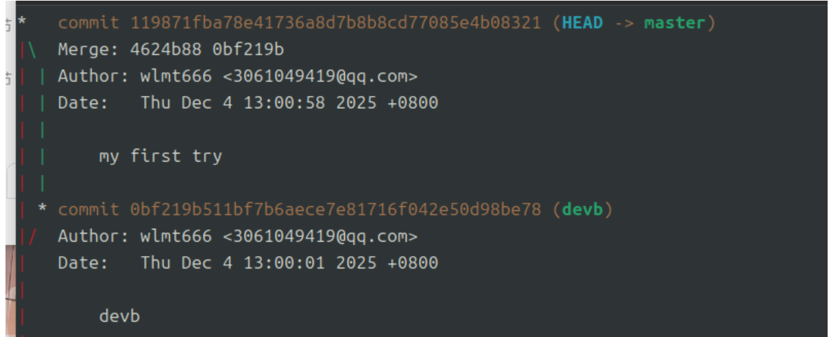 image-20251223161228035